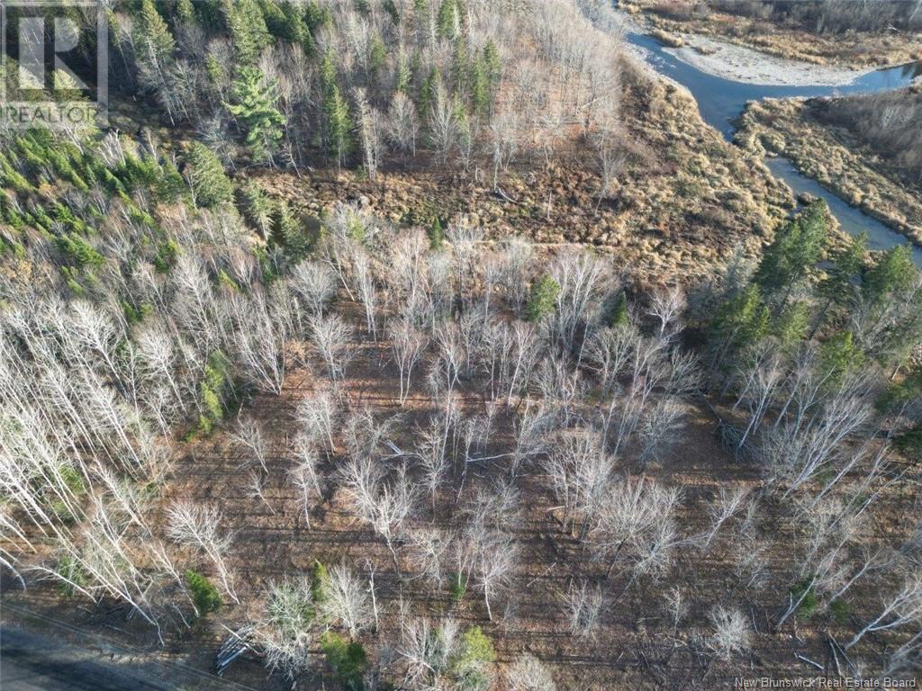 849 Porter Cove Road, Porter Cove, New Brunswick  E9G 2M4 - Photo 4 - NB117481