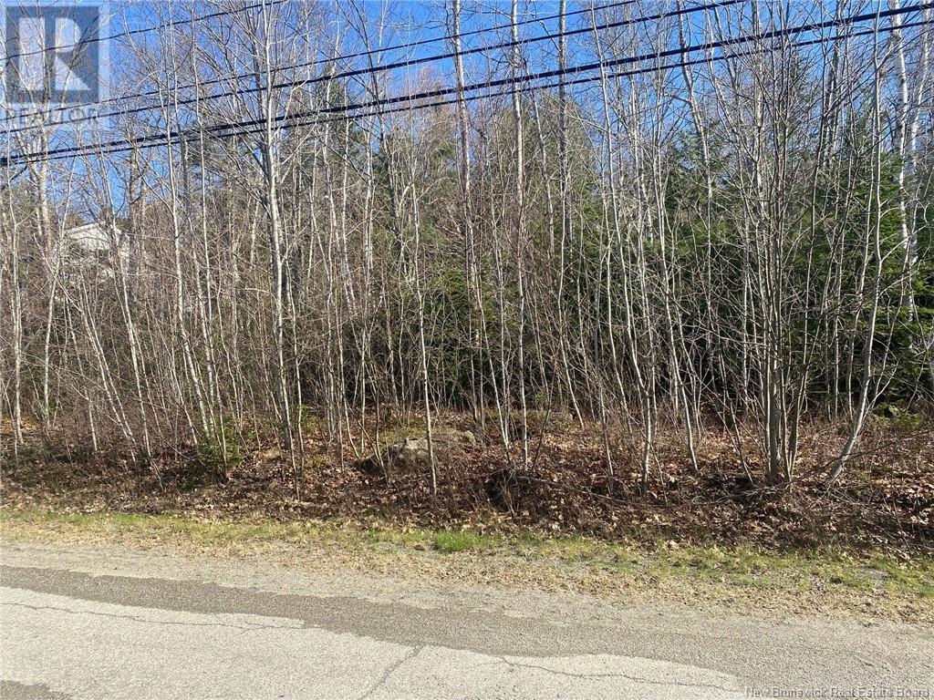 00 Lily Hill Road, Oak Bay, New Brunswick  E3L 4E7 - Photo 2 - NB117411