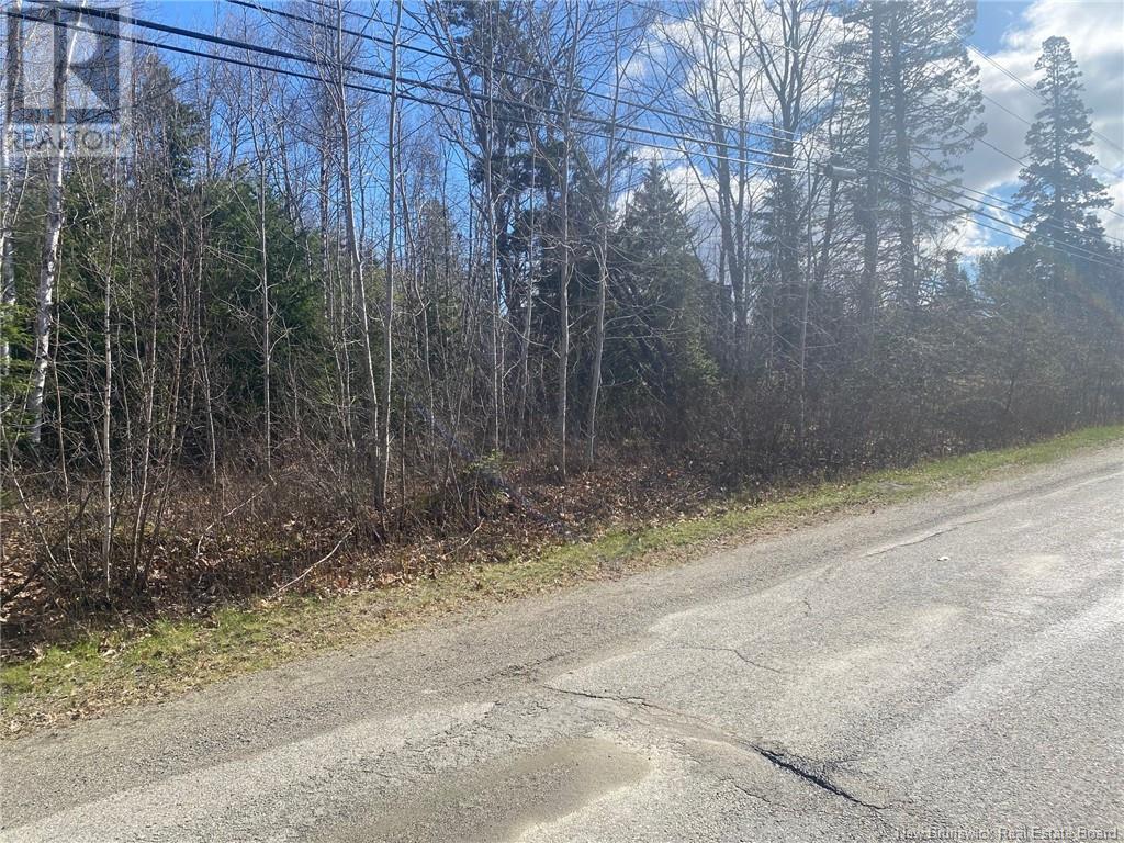 00 Lily Hill Road, Oak Bay, New Brunswick  E3L 4E7 - Photo 3 - NB117411