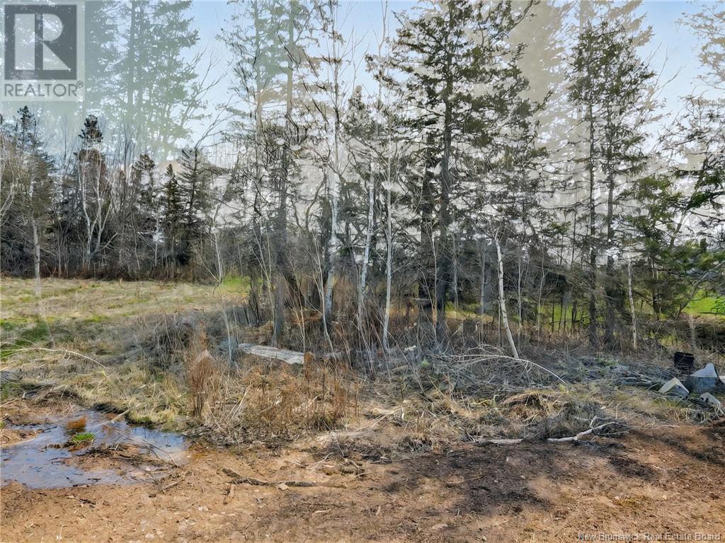 396 Collins Lake Road, Shemogue, New Brunswick  E4N 2N1 - Photo 25 - NB117475