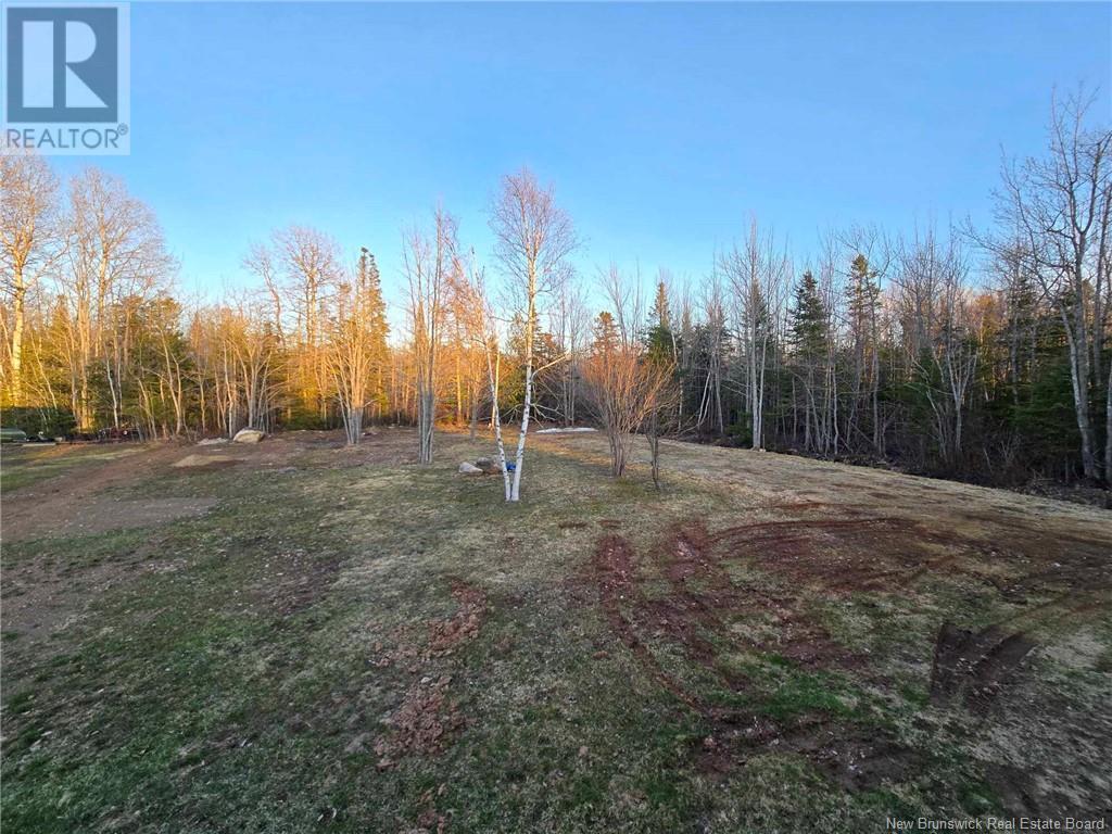 1096 Packard Street, Bathurst, New Brunswick  E2A 6J2 - Photo 2 - NB117593