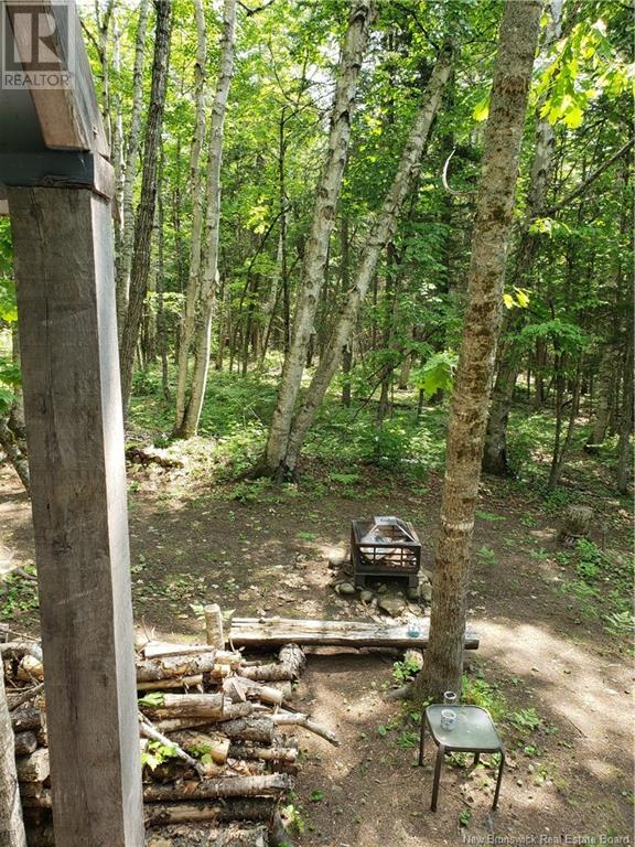 3311 Hwy 625, Taxis River, New Brunswick  E6A 1E9 - Photo 15 - NB117573