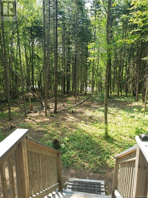 3311 Hwy 625, Taxis River, New Brunswick  E6A 1E9 - Photo 16 - NB117573