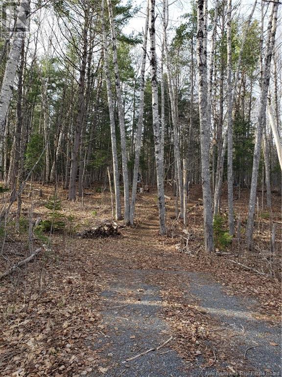 3311 Hwy 625, Taxis River, New Brunswick  E6A 1E9 - Photo 17 - NB117573