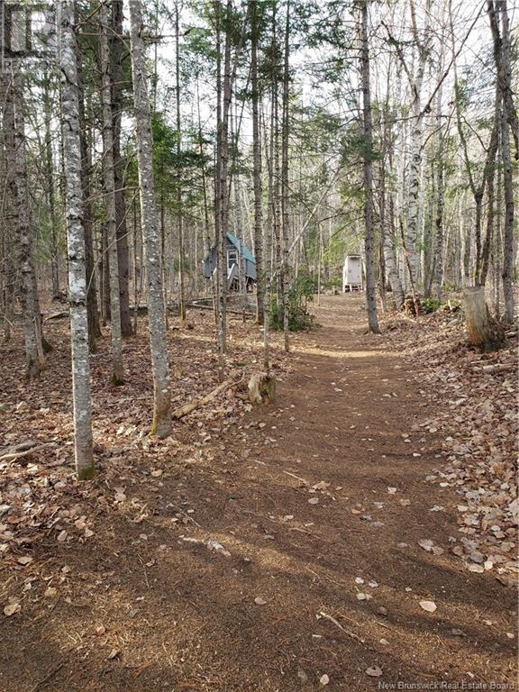 3311 Hwy 625, Taxis River, New Brunswick  E6A 1E9 - Photo 22 - NB117573