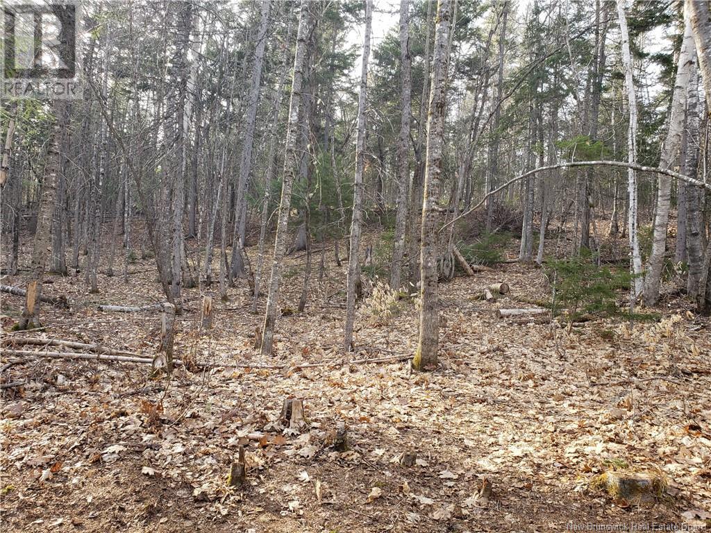 3311 Hwy 625, Taxis River, New Brunswick  E6A 1E9 - Photo 24 - NB117573
