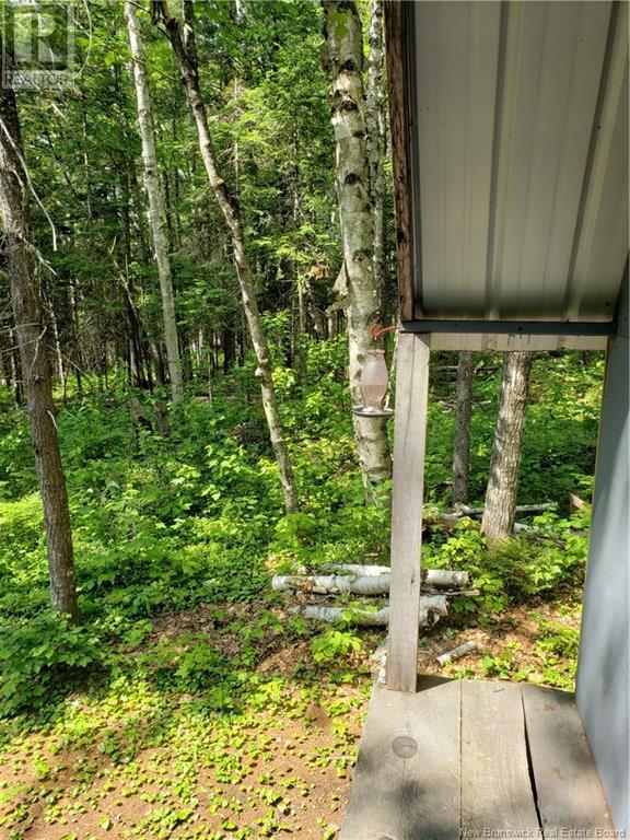 3311 Hwy 625, Taxis River, New Brunswick  E6A 1E9 - Photo 4 - NB117573