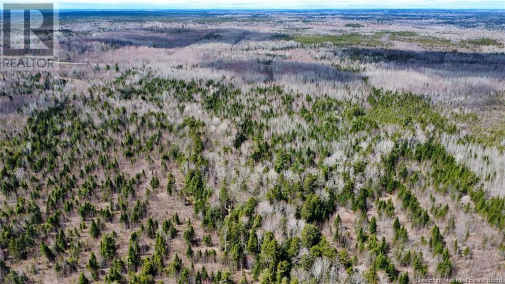 Lot Route 490, Champ Dore, New Brunswick  E4T 3H3 - Photo 10 - NB117596
