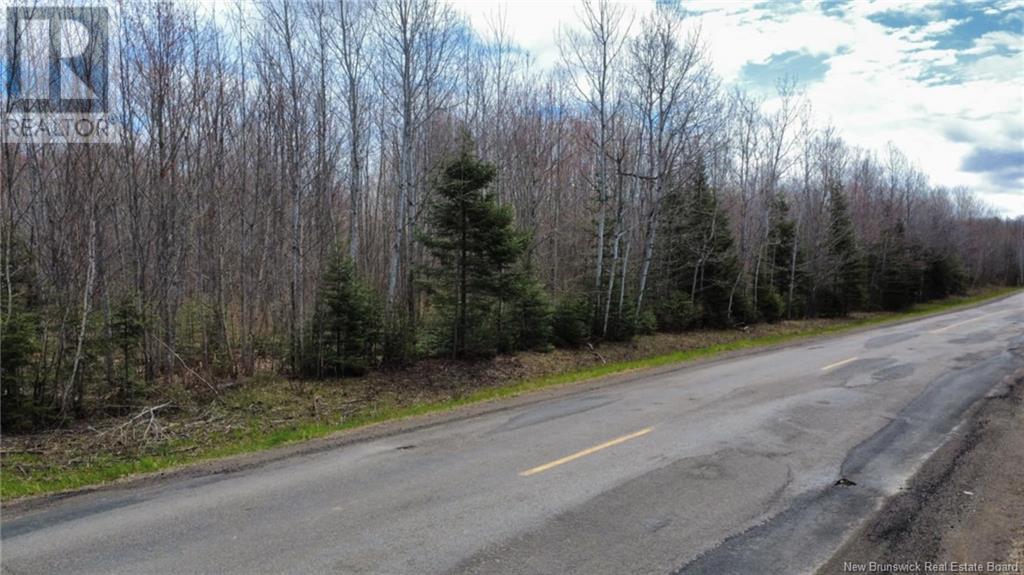 Lot Route 490, Champ Dore, New Brunswick  E4T 3H3 - Photo 12 - NB117596