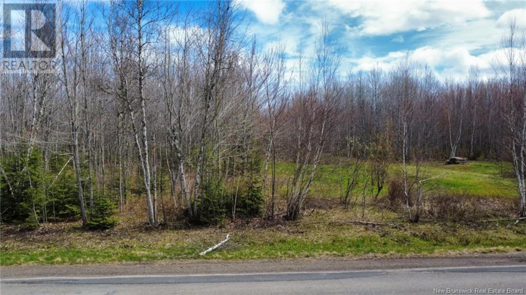 Lot Route 490, Champ Dore, New Brunswick  E4T 3H3 - Photo 14 - NB117596