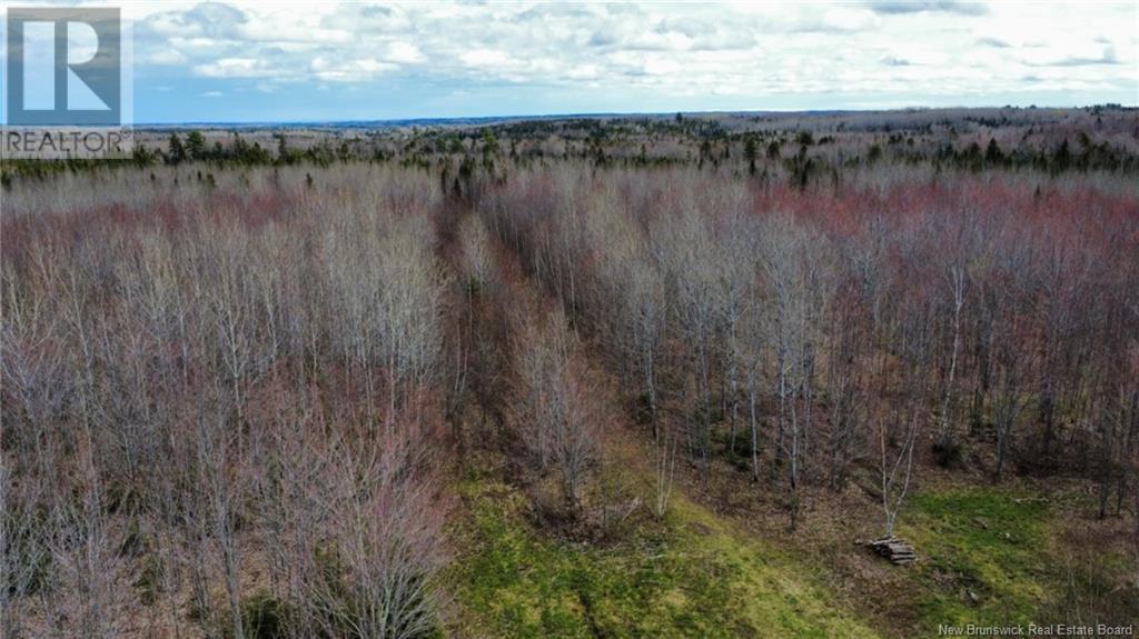 Lot Route 490, Champ Dore, New Brunswick  E4T 3H3 - Photo 16 - NB117596