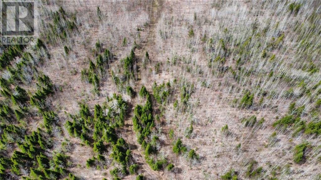 Lot Route 490, Champ Dore, New Brunswick  E4T 3H3 - Photo 17 - NB117596