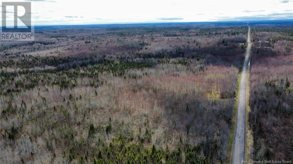 Lot Route 490, Champ Dore, New Brunswick  E4T 3H3 - Photo 3 - NB117596