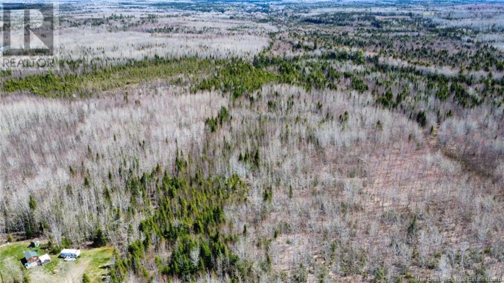 Lot Route 490, Champ Dore, New Brunswick  E4T 3H3 - Photo 4 - NB117596