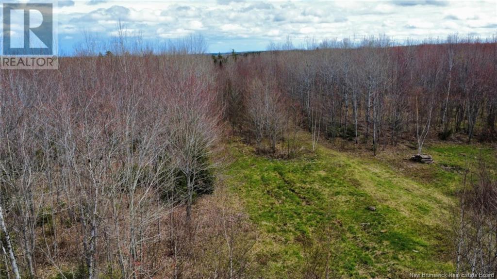 Lot Route 490, Champ Dore, New Brunswick  E4T 3H3 - Photo 7 - NB117596