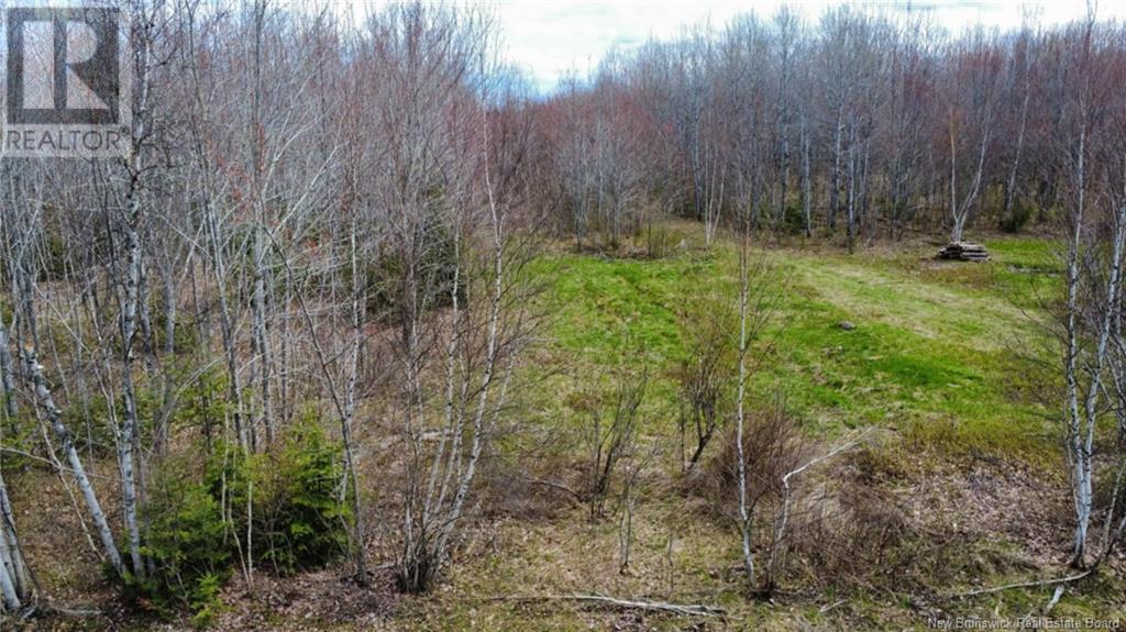 Lot Route 490, Champ Dore, New Brunswick  E4T 3H3 - Photo 8 - NB117596