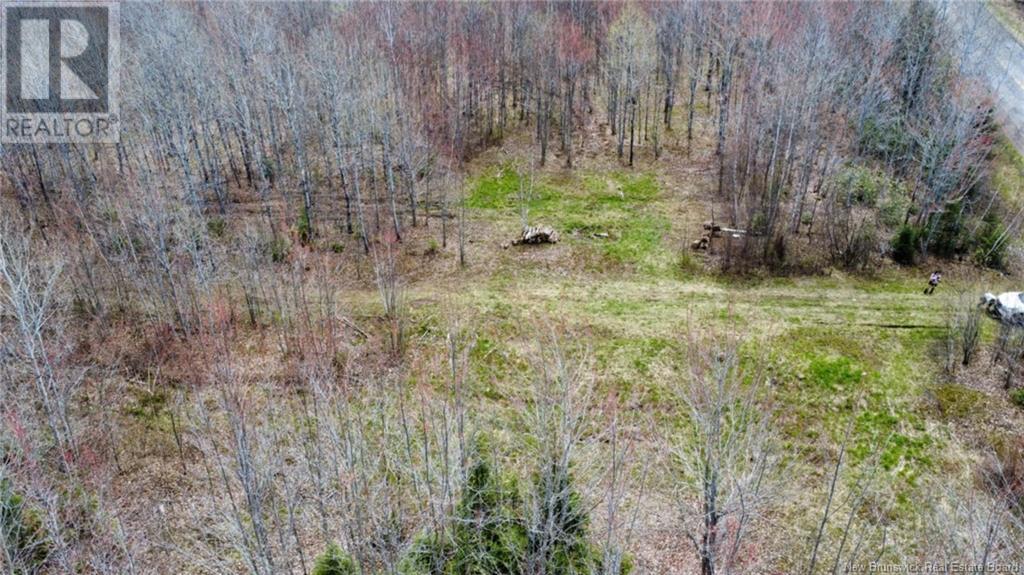 Lot Route 490, Champ Dore, New Brunswick  E4T 3H3 - Photo 9 - NB117596