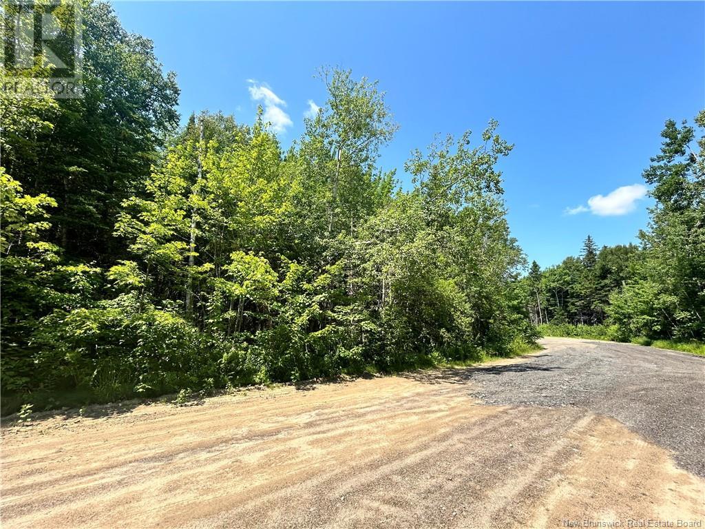 Lot David, Galloway, New Brunswick  E4W 2K7 - Photo 4 - NB117524