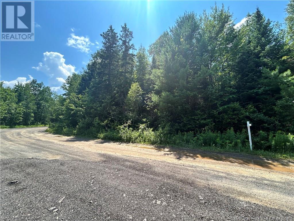 Lot David, Galloway, New Brunswick  E4W 2K7 - Photo 5 - NB117524