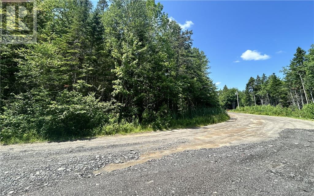 Lot David, Galloway, New Brunswick  E4W 2K7 - Photo 6 - NB117524