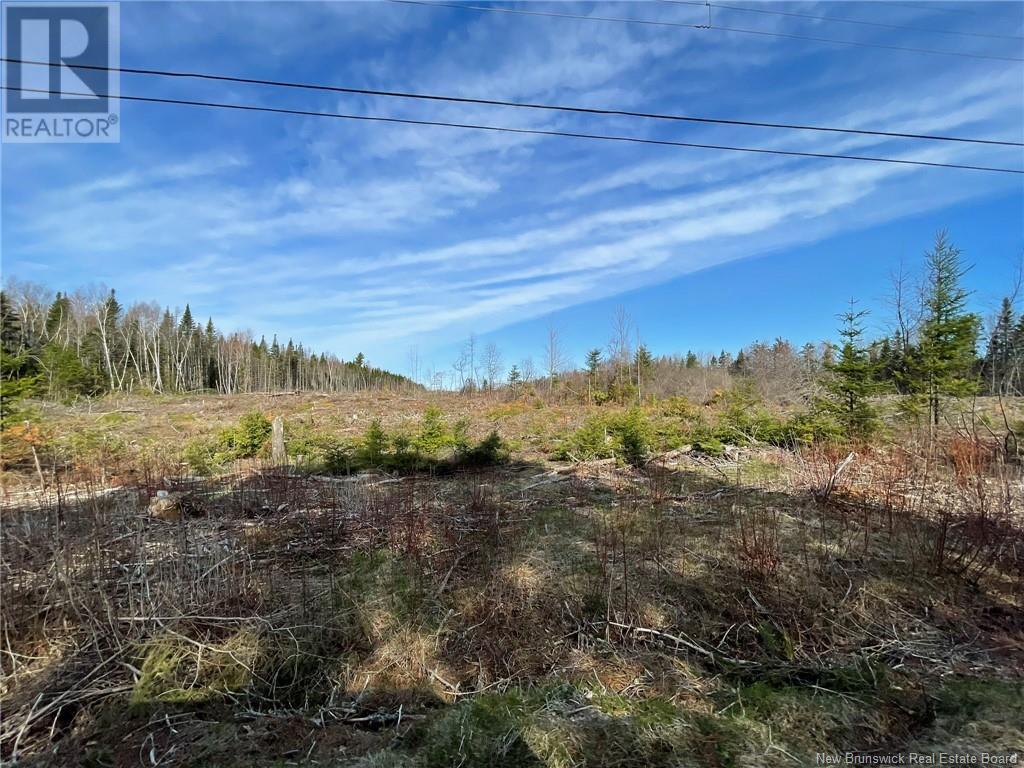 Semiwagan Road, Barnaby, New Brunswick  E1N 6E5 - Photo 10 - NB117586