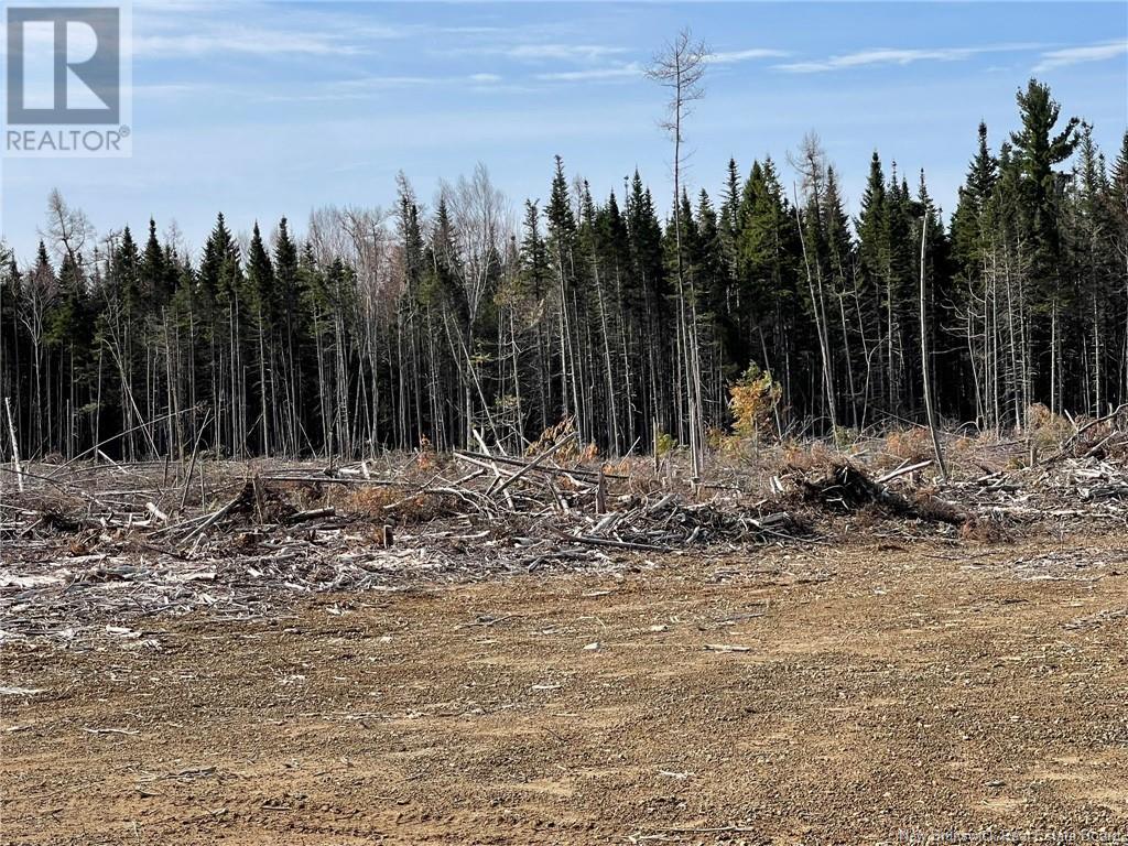 Semiwagan Road, Barnaby, New Brunswick  E1N 6E5 - Photo 12 - NB117586