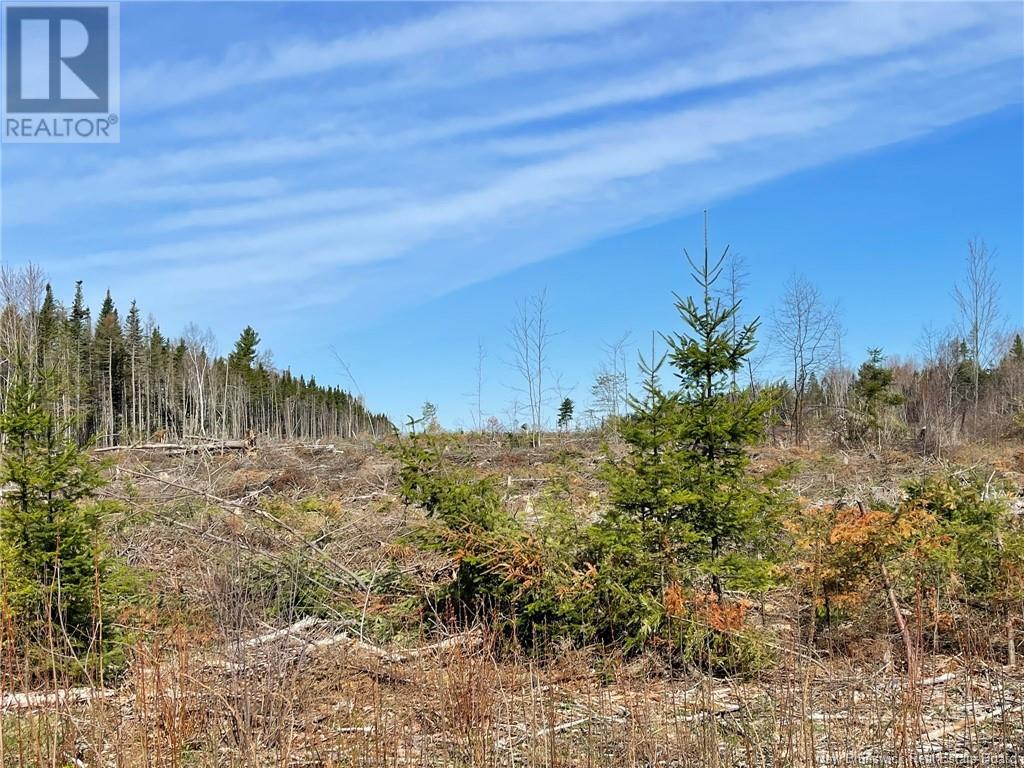Semiwagan Road, Barnaby, New Brunswick  E1N 6E5 - Photo 13 - NB117586