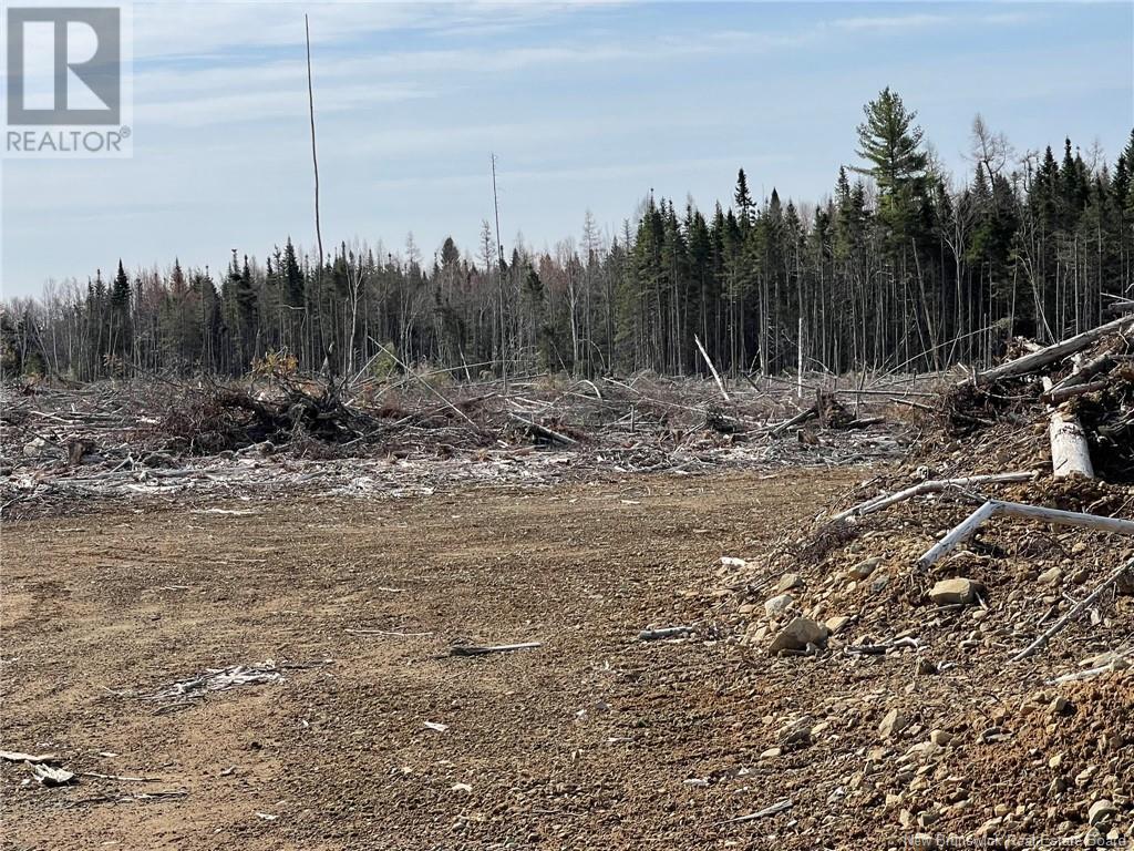 Semiwagan Road, Barnaby, New Brunswick  E1N 6E5 - Photo 15 - NB117586