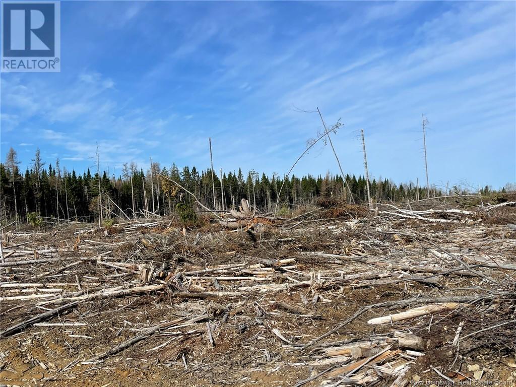 Semiwagan Road, Barnaby, New Brunswick  E1N 6E5 - Photo 16 - NB117586
