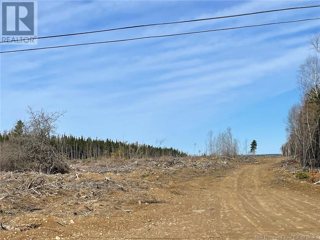 Semiwagan Road, Barnaby, New Brunswick  E1N 6E5 - Photo 17 - NB117586