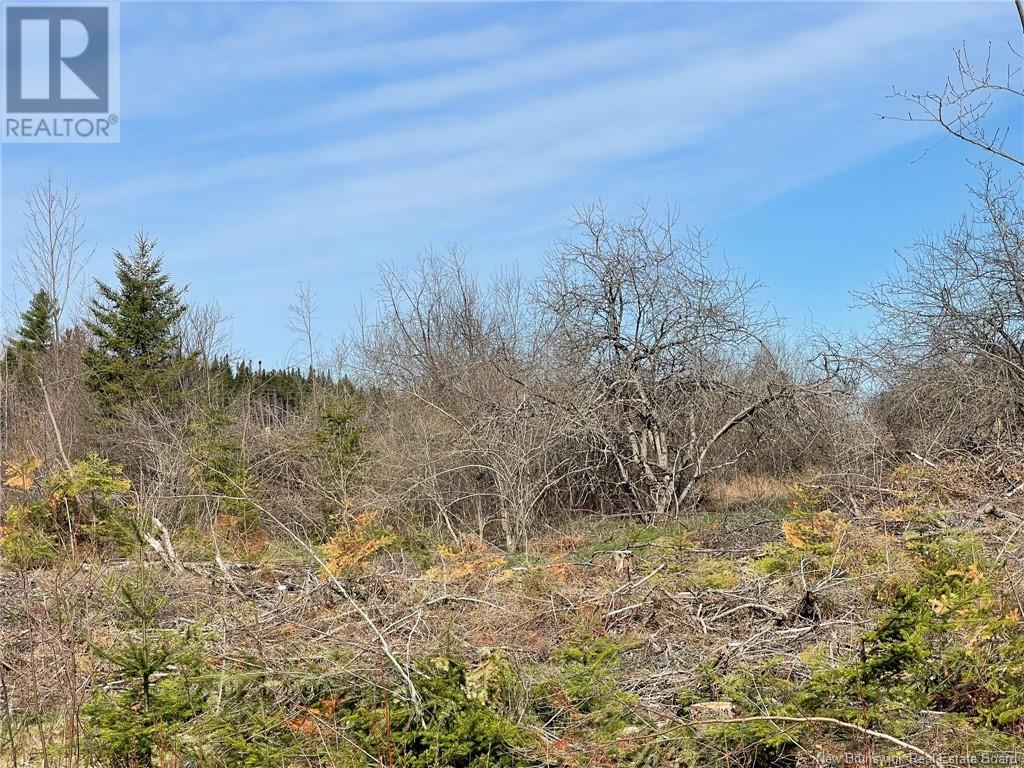 Semiwagan Road, Barnaby, New Brunswick  E1N 6E5 - Photo 18 - NB117586