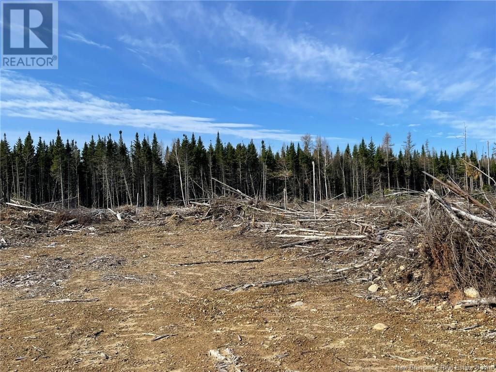 Semiwagan Road, Barnaby, New Brunswick  E1N 6E5 - Photo 20 - NB117586