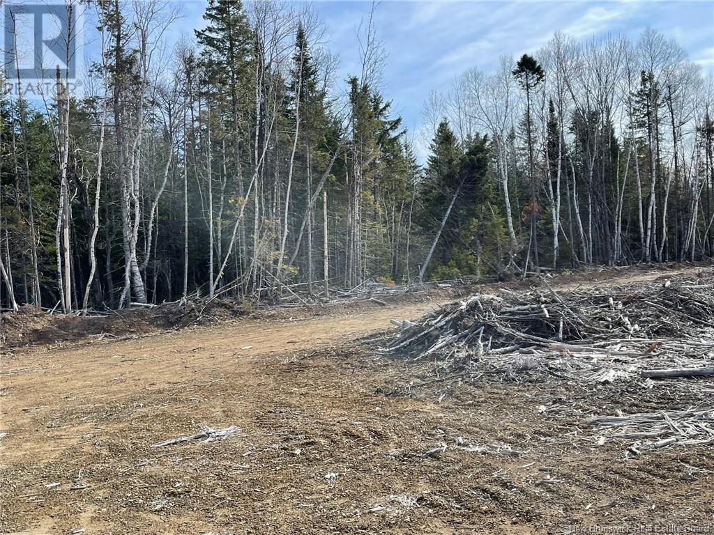 Semiwagan Road, Barnaby, New Brunswick  E1N 6E5 - Photo 21 - NB117586