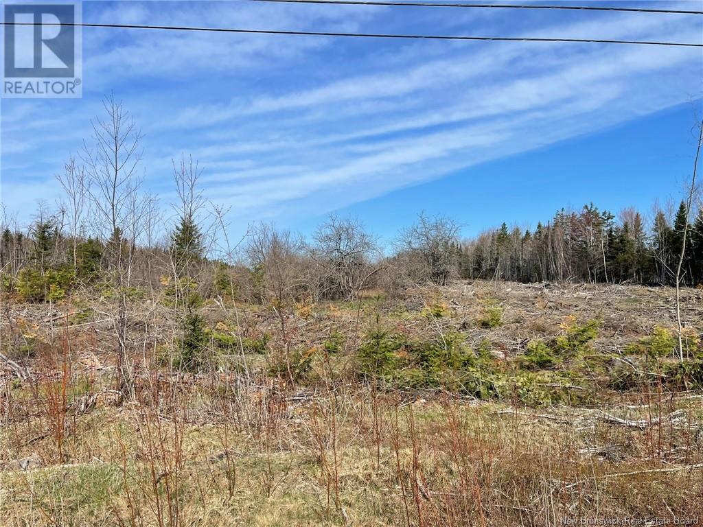 Semiwagan Road, Barnaby, New Brunswick  E1N 6E5 - Photo 23 - NB117586