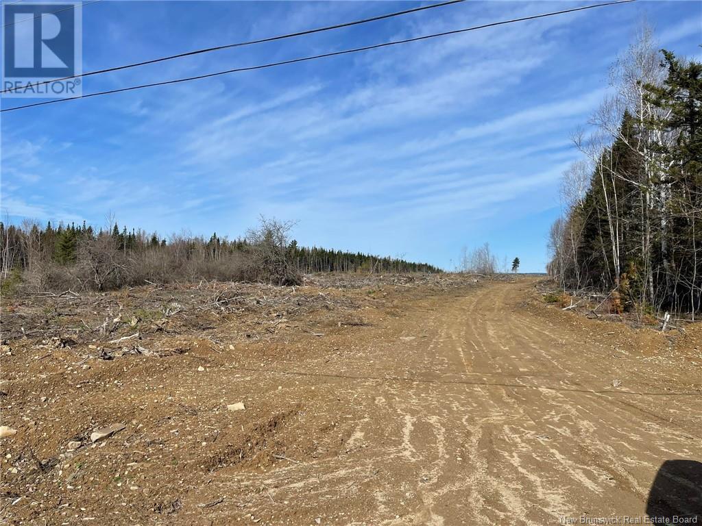 Semiwagan Road, Barnaby, New Brunswick  E1N 6E5 - Photo 3 - NB117586