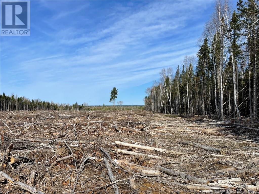 Semiwagan Road, Barnaby, New Brunswick  E1N 6E5 - Photo 4 - NB117586
