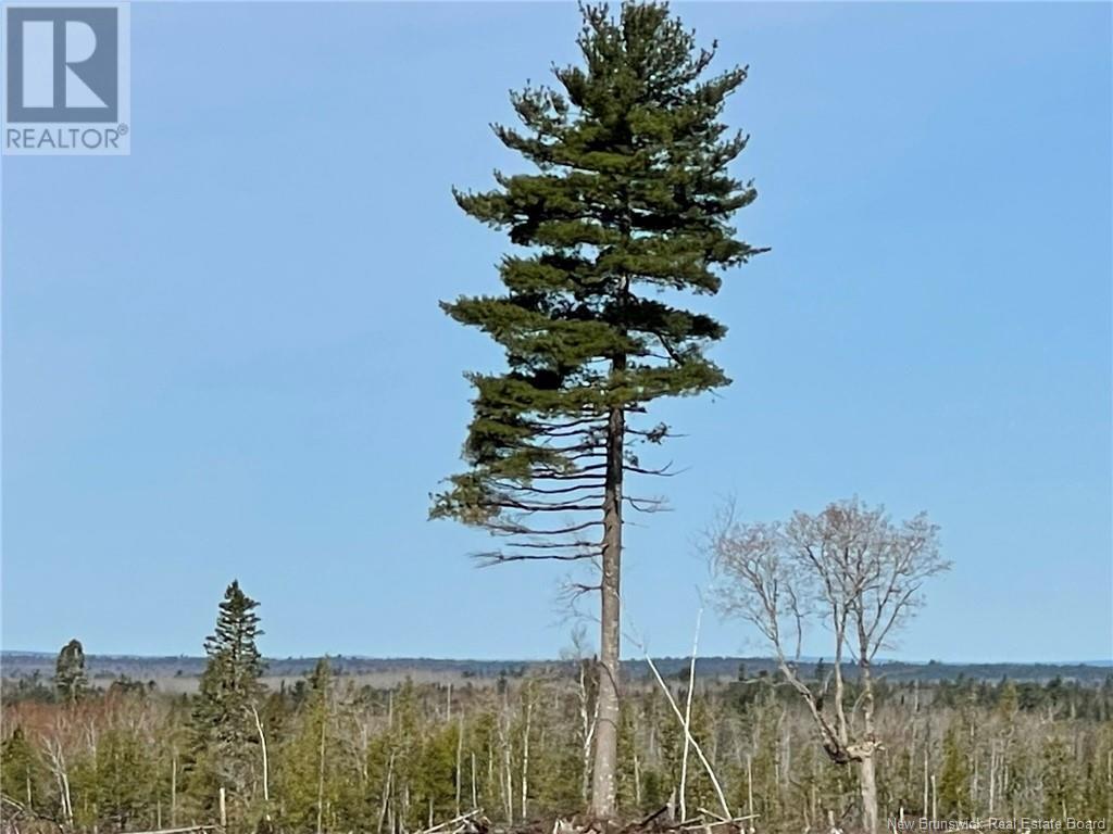 Semiwagan Road, Barnaby, New Brunswick  E1N 6E5 - Photo 5 - NB117586