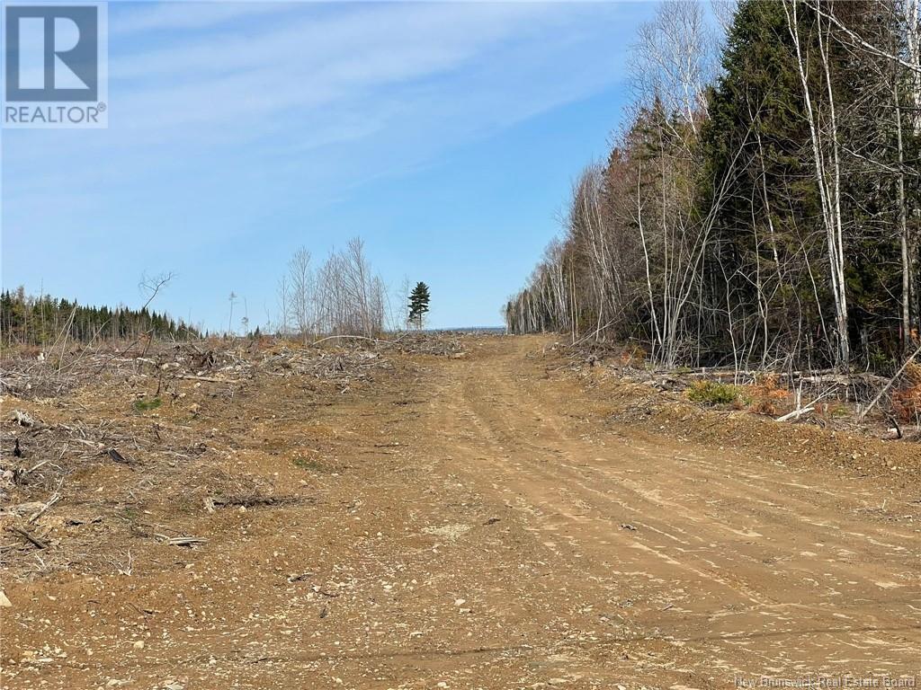 Semiwagan Road, Barnaby, New Brunswick  E1N 6E5 - Photo 6 - NB117586