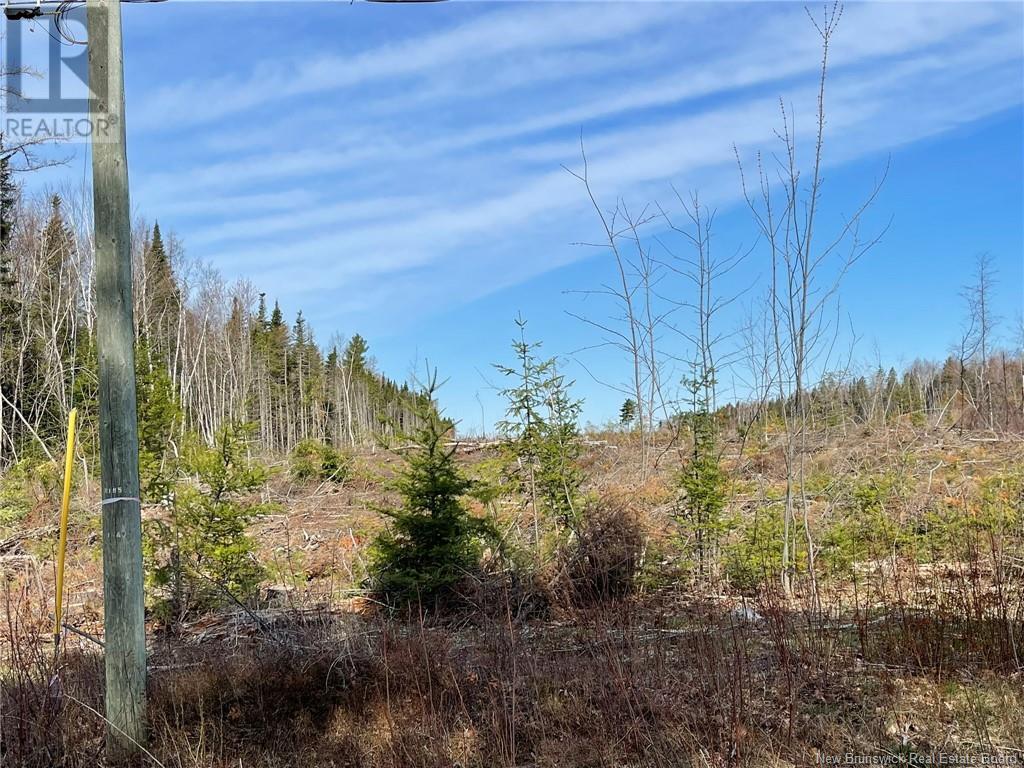 Semiwagan Road, Barnaby, New Brunswick  E1N 6E5 - Photo 7 - NB117586