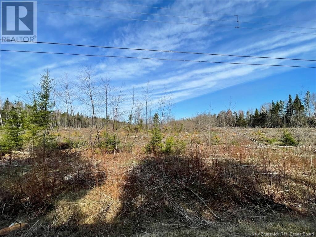Semiwagan Road, Barnaby, New Brunswick  E1N 6E5 - Photo 8 - NB117586