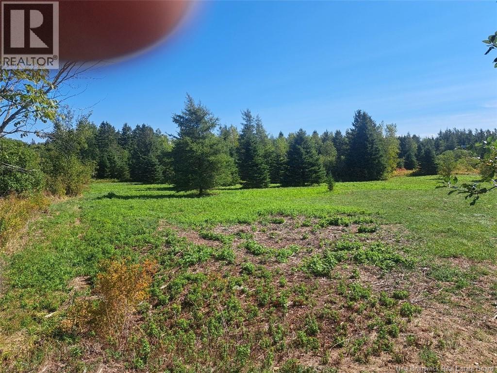 0 Homestead Road, Salisbury, New Brunswick  E4J 3C1 - Photo 2 - NB117681