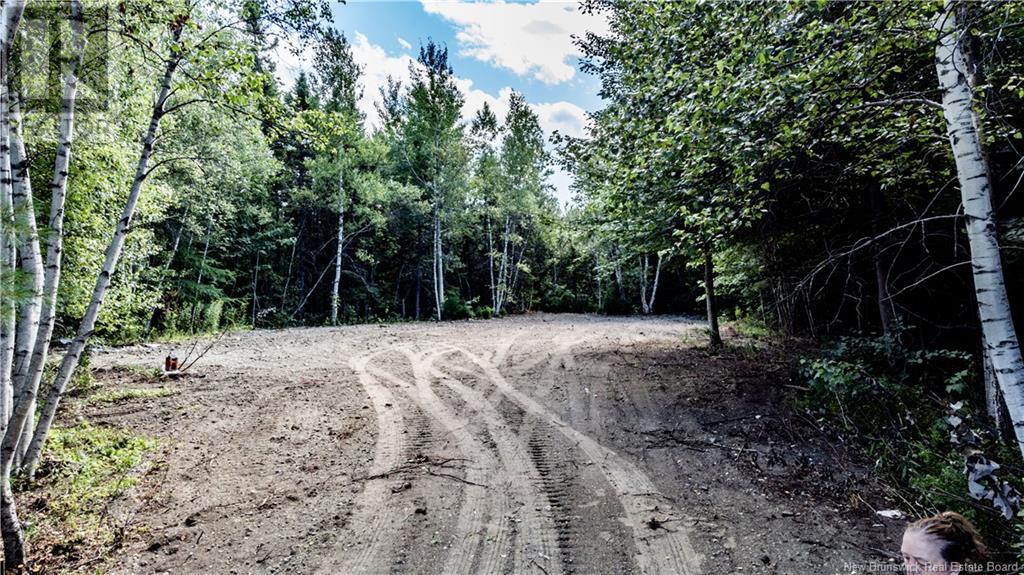 10200 Route 134, Saint-Louis-De-Kent, New Brunswick  E4X 2K8 - Photo 2 - NB117615