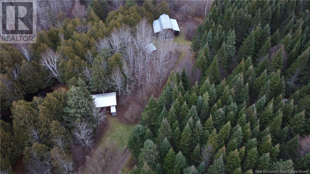 48.2 Acres Chemin Laplante, Laplante, New Brunswick  E8J 1Z4 - Photo 2 - NB117719