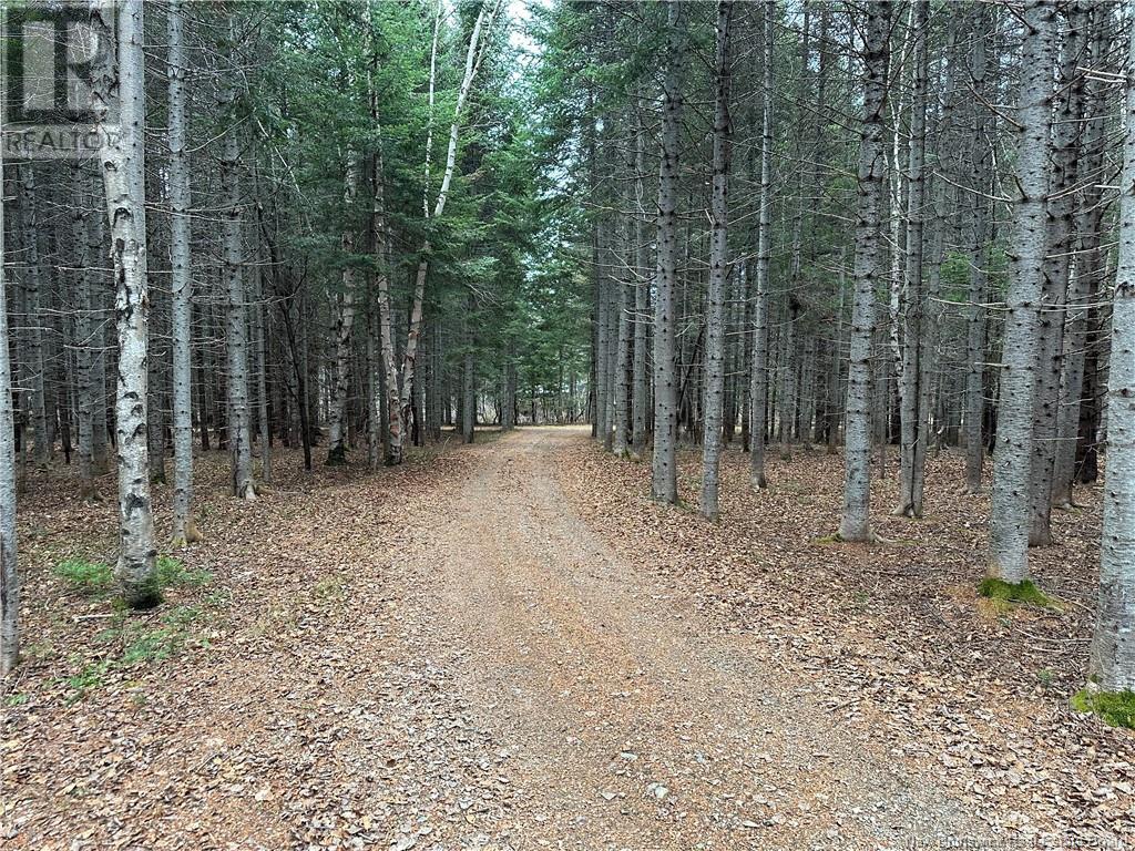 48.2 Acres Chemin Laplante, Laplante, New Brunswick  E8J 1Z4 - Photo 3 - NB117719