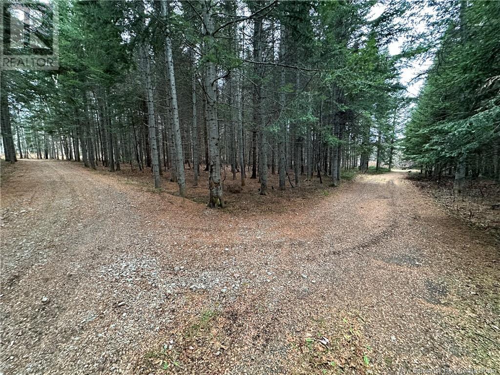 48.2 Acres Chemin Laplante, Laplante, New Brunswick  E8J 1Z4 - Photo 4 - NB117719