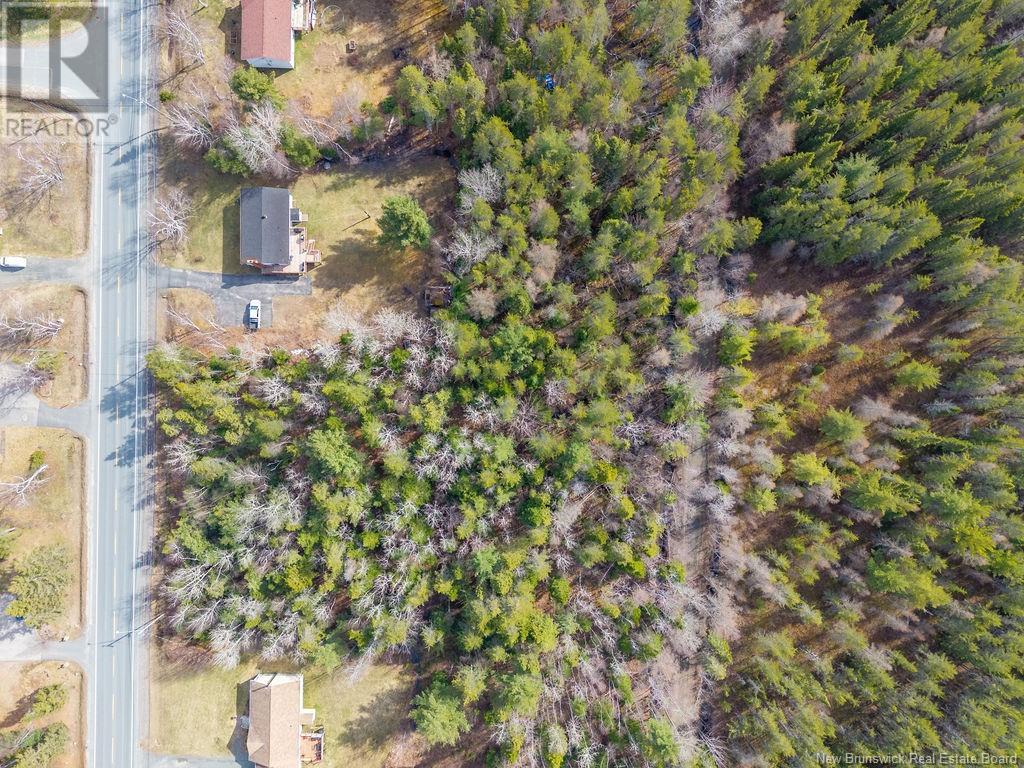 608 Wellington Street, Miramichi, New Brunswick  E1N 3M1 - Photo 5 - NB117728