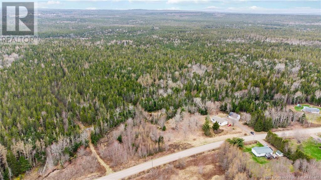 300 Fairfield Road, Sackville, New Brunswick  E4L 2Y2 - Photo 35 - NB117211