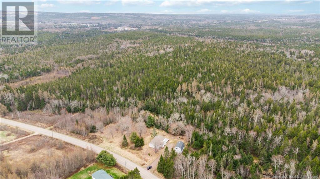 300 Fairfield Road, Sackville, New Brunswick  E4L 2Y2 - Photo 36 - NB117211