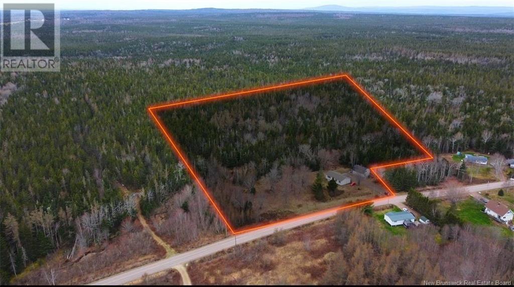 300 Fairfield Road, Sackville, New Brunswick  E4L 2Y2 - Photo 4 - NB117211