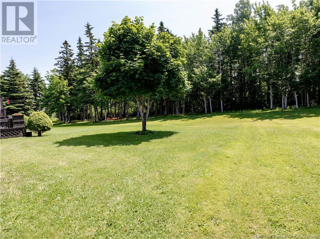 36 Acadie, Bouctouche, New Brunswick  E4S 2T2 - Photo 43 - NB117750